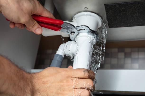 Best Local water damage restoration  in Schler Park, IL