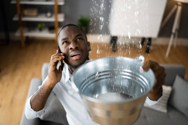 Best Carpet water damage restoration  in Schler Park, IL