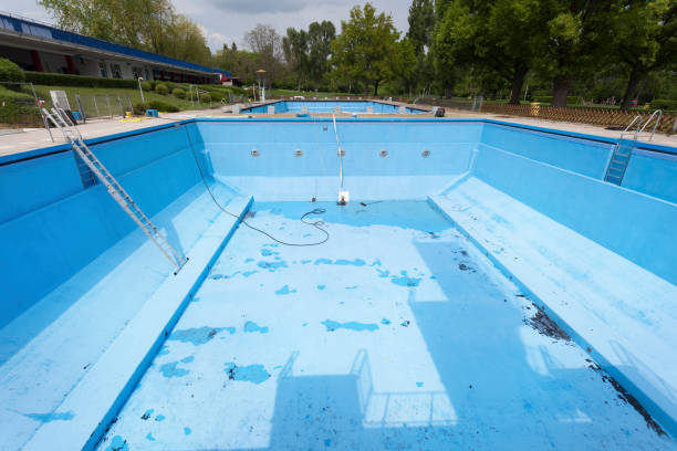 Best Water damage contractors near me  in Schler Park, IL