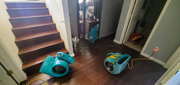 Best Professional water damage repair  in Schler Park, IL