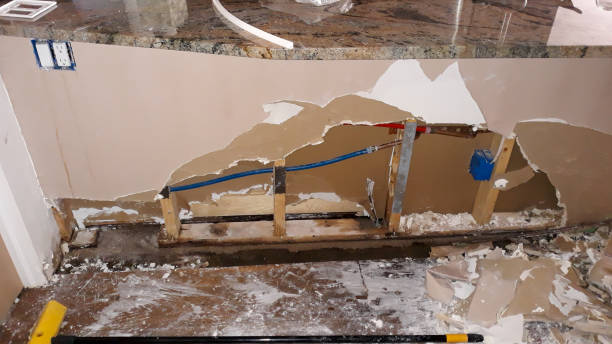 Best Water damage restoration services  in Schler Park, IL