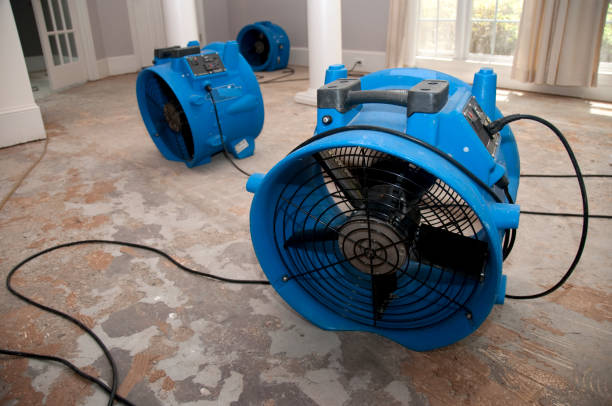 Best Commercial water damage restoration  in Schler Park, IL