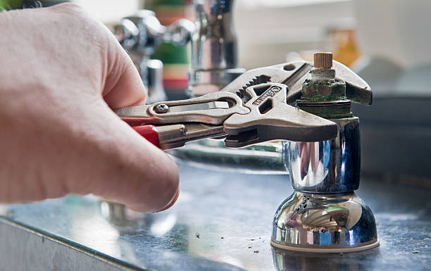 Best Flood restoration services  in Schler Park, IL