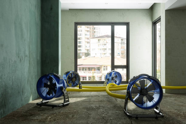 Professional Water damage restoration in Schiller Park, IL